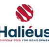 Haliéus is looking for an Expert on Capacity Building for cooperatives to support COOPER-IDEA project in Palestine